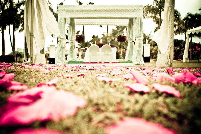 Image by Leland